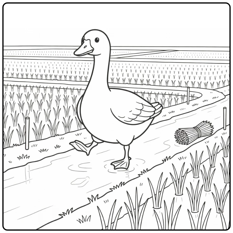 Goose coloring page featuring cute goose in rice paddy path