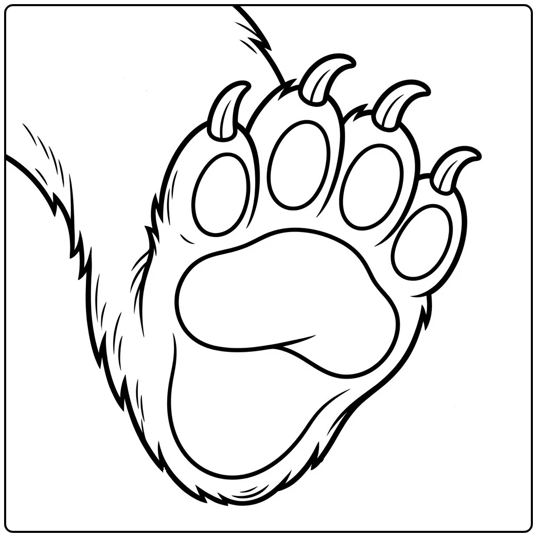 Close-up bear paw with five claws and large pads in a bear paws coloring page.